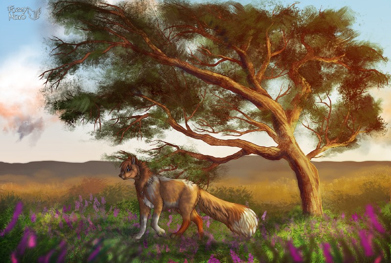 day feral field flower happy meadow outside plant sky solo sunset tree walking fuzzymaro canid canine fox mammal digital_media_(artwork) smaller_version_at_source