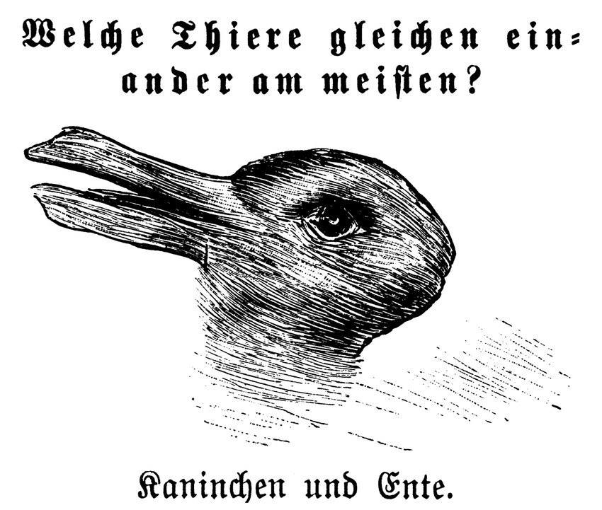 disembodied_head duo feral optical_illusion simple_background text unknown_artist anatid anseriform avian bird duck hybrid lagomorph leporid mammal rabbit black_and_white german_text hi_res monochrome translated