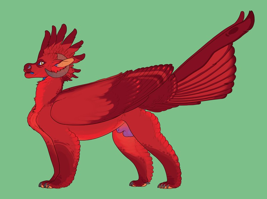 animal_genitalia balls brightly_colored ear_tuft feathered_crest feathers feral genitals head_crest horn male pawpads pose sheath shiro_(species) solo tuft wings pheel mythology dragon feathered_dragon feathered_scalie mythological_creature mythological_scalie scalie