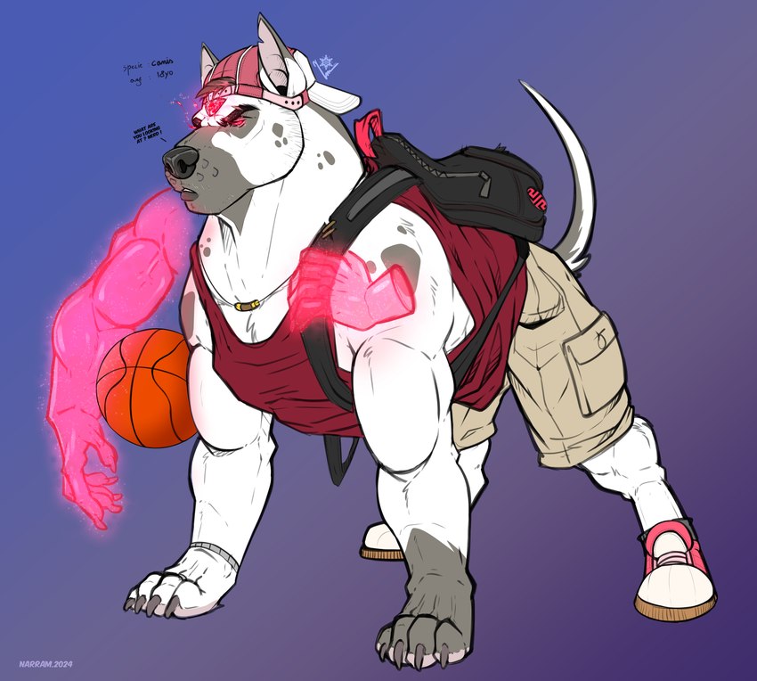 ball basketball_(ball) clothed clothing feral jock male mongrel_dog solo narram tanner_(narram) canid canine canis canis_species(narram) domestic_dog mammal absurd_res hi_res