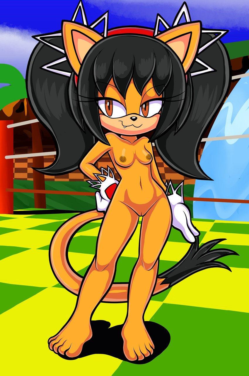 5_toes accessory anthro breasts clothing cloud feet female fighting_ring gloves hair hair_accessory hairband handwear looking_at_another navel nipple_dip nipples nude orange_eyes outside small_breasts solo toes blackmore sega sonic_the_fighters sonic_the_hedgehog_(series) honey_the_cat felid feline mammal absurd_res hi_res