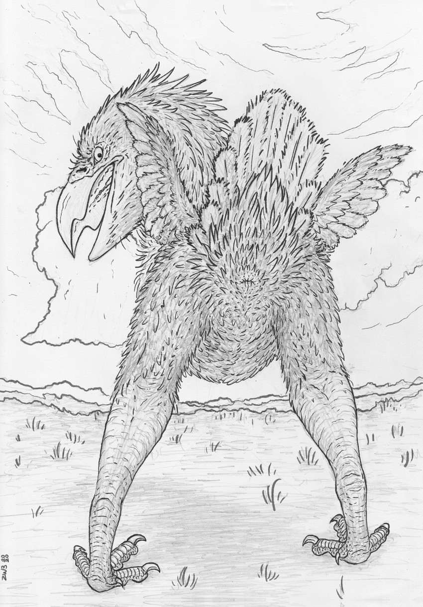 ambiguous_gender animal_genitalia avian_butt beak biped butt claws cloaca cloud detailed_background feathered_wings feathers feral genitals grass horizontal_cloaca looking_at_viewer looking_back nude open_mouth outside perspective plant presenting presenting_hindquarters raised_tail scales sky solo tail tail_feathers wings zw3 avian bird cariamiform prehistoric_species terror_bird absurd_res digital_drawing_(artwork) digital_media_(artwork) graphite_(artwork) hi_res mixed_media monochrome sketch traditional_media_(artwork)