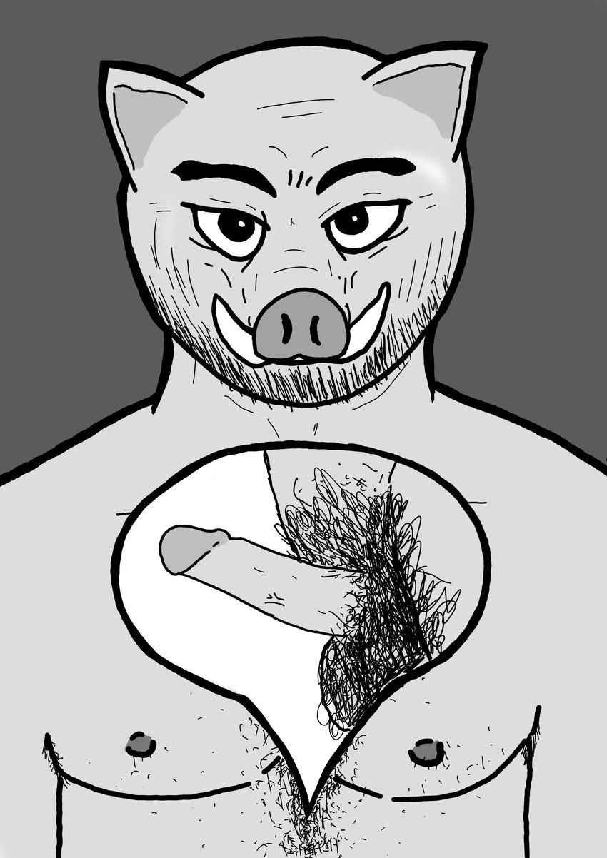 anthro armpit_hair bald balls body_hair chest_hair erection facial_hair genitals humanoid_genitalia humanoid_penis looking_at_viewer male nipples nude penis pubes simple_background solo speech_bubble standing tusks vein kangavulp mammal suid suine sus_(pig) wild_boar absurd_res black_and_white hi_res monochrome