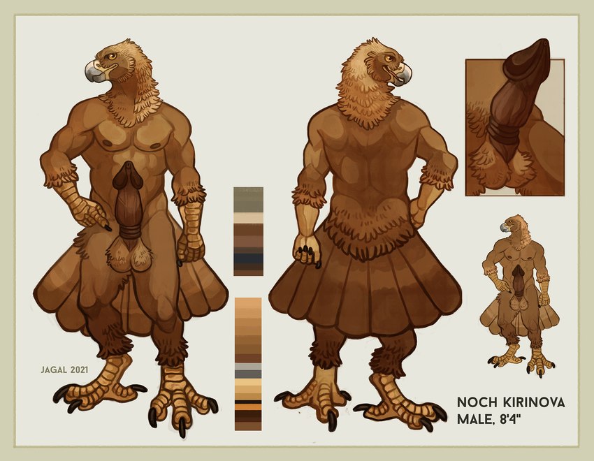 anthro avian_feet balls beak border brown_balls brown_body brown_feathers brown_glans brown_nipples brown_penis erection feathers feet genitals glans male muscular muscular_anthro muscular_male nipples nude penis smile solo tail tail_feathers tall talons text toes yellow_border jagal noch_kirinova accipitrid accipitriform avian bird eagle golden_eagle true_eagle 2021 english_text hi_res model_sheet