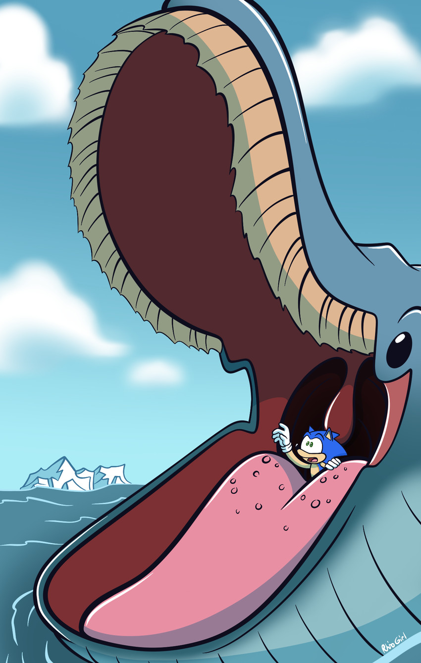 anthro anthro_prey baleen black_eyes blue_body duo feral feral_pred grey_body ice iceberg in_mouth male mouth_shot open_mouth oral_vore sea tongue uvula vore water rhinogirl sega sonic_the_hedgehog_(series) sonic_the_hedgehog baleen_whale cetacean mammal marine whale 2026 hi_res watermark
