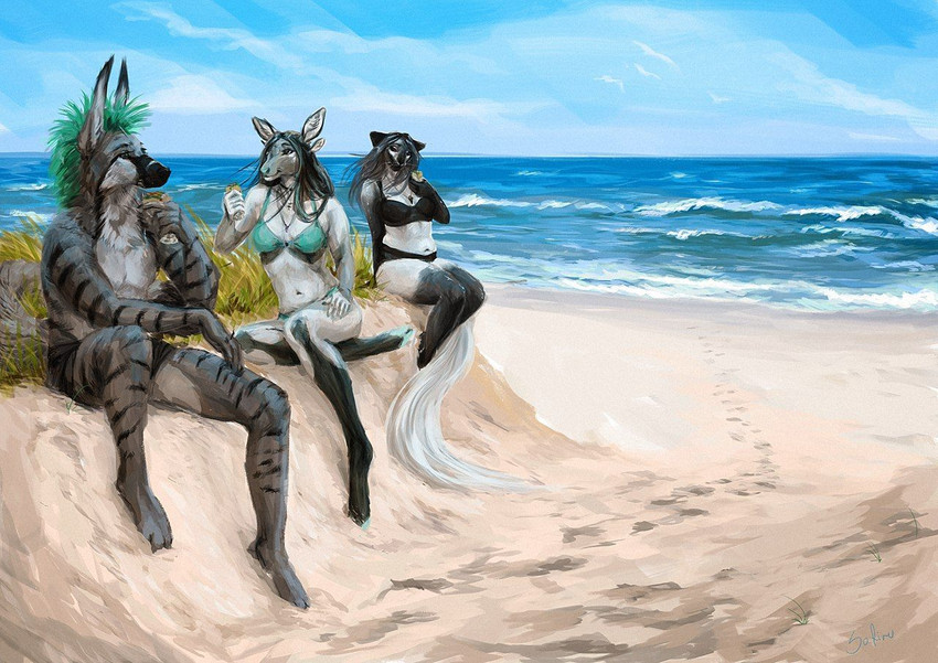 anthro beach biped black_body black_fur black_nose clothing female fur green_hair group hair humanoid_hands jewelry male midriff mohawk necklace outside sand sea seaside sitting sky swimming_trunks swimwear water white_body white_fur safiru n527 safi_(safiru) aardwolf balinese_cat deer domestic_cat felid feline felis hyena mammal oriental_longhair striped_hyena 2020 digital_media_(artwork)