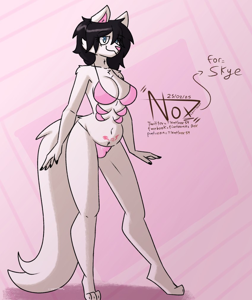 anthro black_hair blue_eyes breasts bulge clothing fur gynomorph hair intersex multi_breast solo swimwear text white_body white_fur womb_tattoo tleatlnox59 skye_(tinycatskye) felid feline mammal absurd_res english_text hi_res