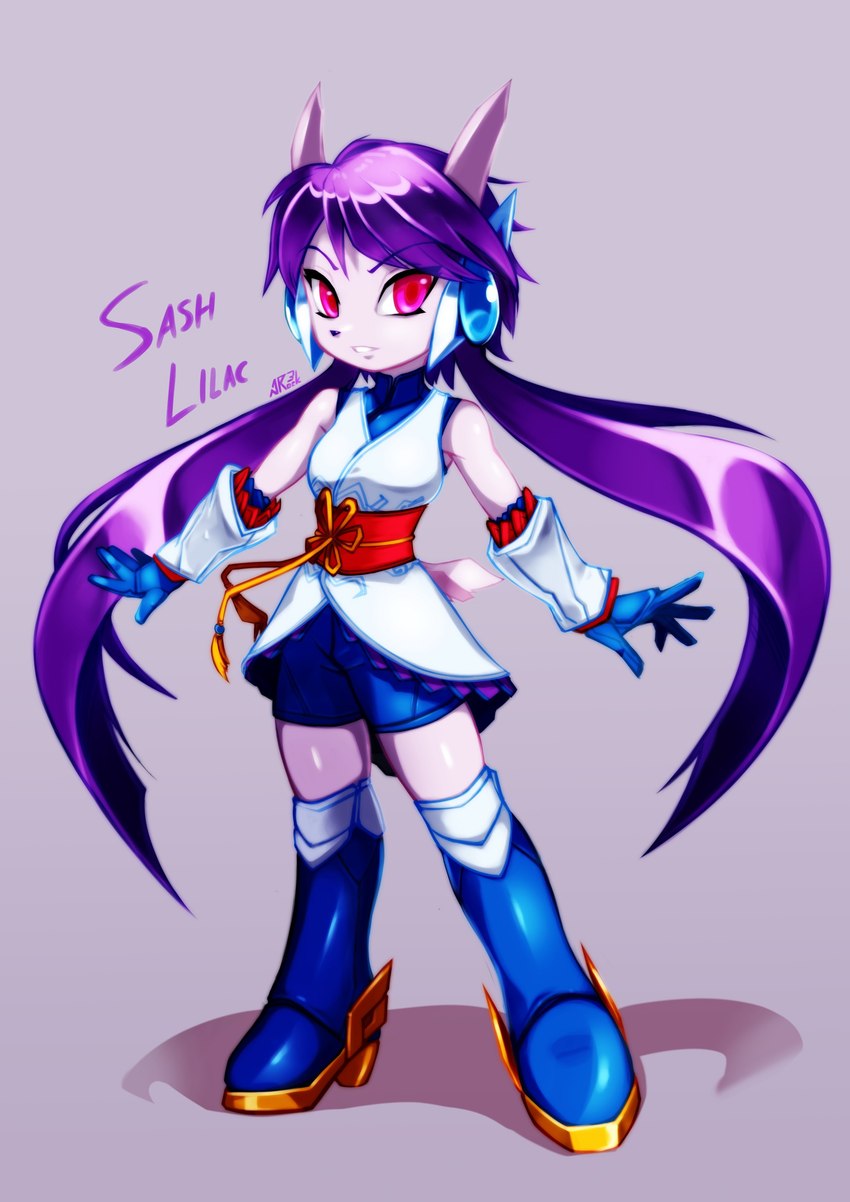 sash lilac (freedom planet and etc) created by anrock3