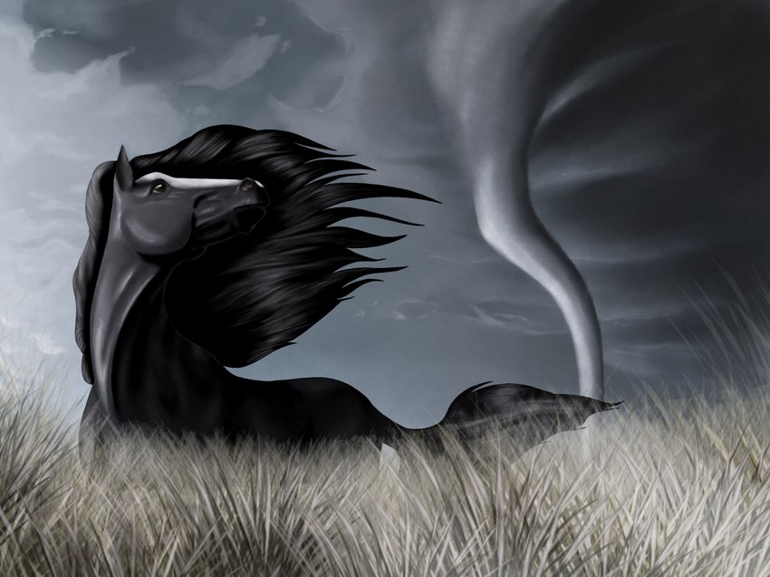 ambiguous_gender black_body black_hair black_mane black_tail brown_eyes facial_markings feral hair head_markings looking_back looking_up mane markings solo tail tornado kattbutik clyde_(wasen) equid equine horse mammal digital_media_(artwork) hi_res