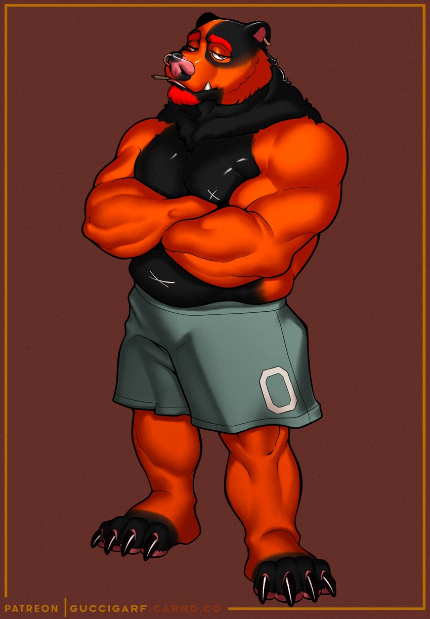 anthro bottomwear clothed clothing drugs ear_piercing facial_hair facial_piercing fur male marijuana muscular muscular_anthro muscular_male nose_piercing orange_body orange_fur overweight overweight_male partially_clothed piercing shorts solo spots guccigarf bear mammal hi_res