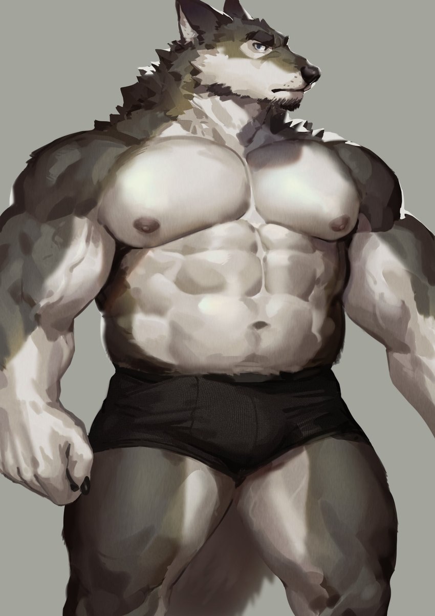 abs anthro beard biceps big_arms big_biceps big_muscles big_pecs black_nose body_tuft bottomwear brown_body brown_fur brown_hair claws clothed clothing facial_hair fur goatee grey_background grey_body grey_fur hair head_tuft looking_aside male multicolored_body multicolored_fur muscular muscular_arms muscular_legs muscular_thighs nipples pecs pose pupils serratus shorts simple_background slight_bulge slit_pupils solo standing tail topless tuft underwear vein veiny_arms veiny_muscles white_body white_fur fuguri canid canine canis mammal wolf 2023 detailed hi_res