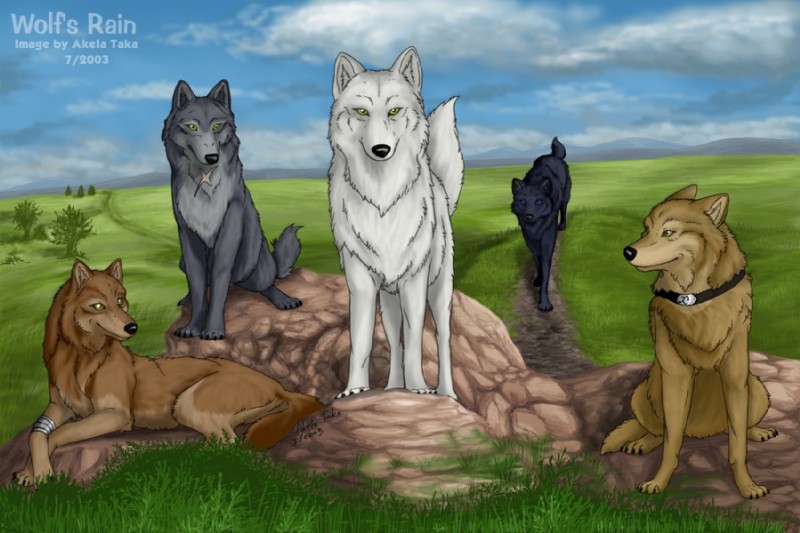 black_body black_fur brown_body brown_fur cloud collar feral fur grey_body grey_fur group male outside sky tail tan_body tan_fur white_body white_fur yellow_eyes akela_taka wolf's_rain blue_(wolf's_rain) hige_(wolf's_rain) kiba_(wolf's_rain) toboe_(wolf's_rain) tsume_(wolf's_rain) canid canine canis mammal wolf 2003