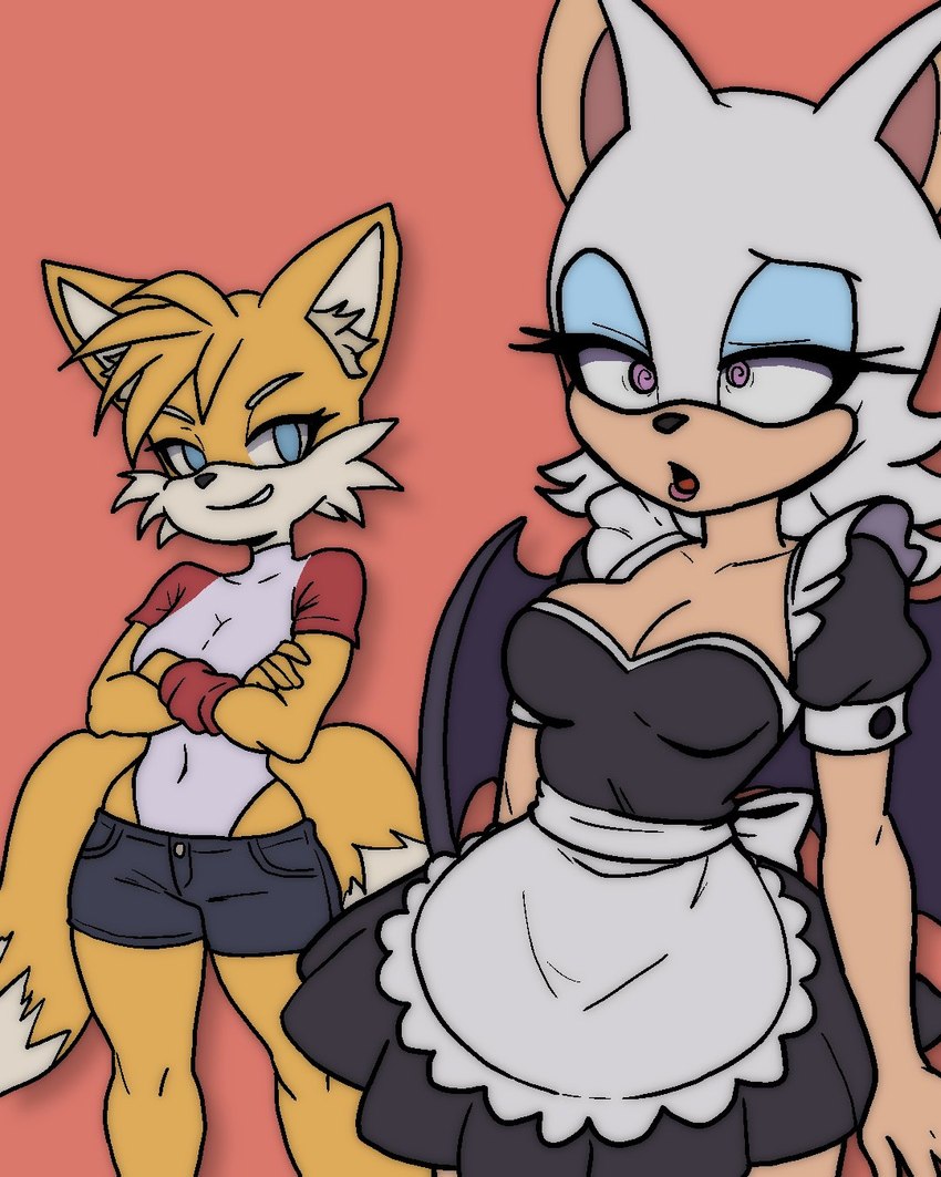 miles prower and rouge the bat (sonic the hedgehog (series) and etc) created by broth nsfw