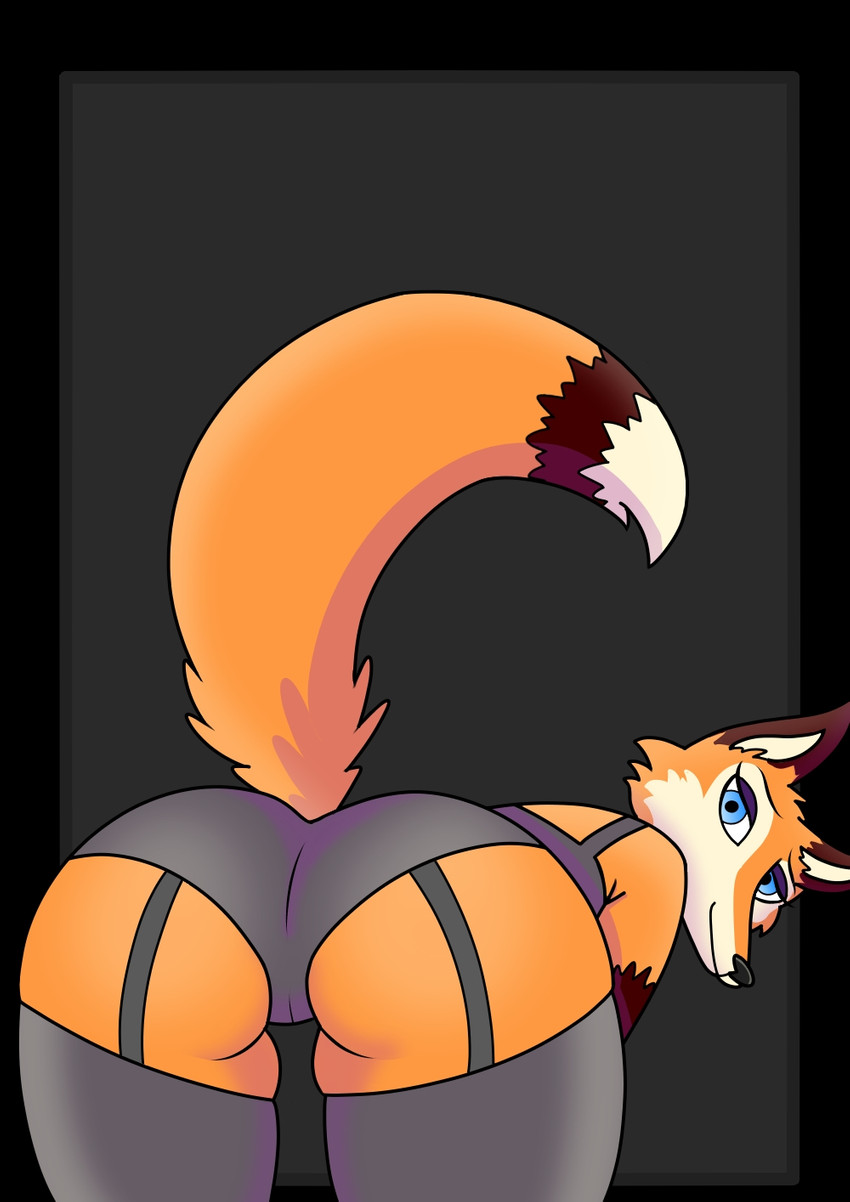 anthro bent_over butt butt_focus camel_toe clothing female fur garter_straps lingerie looking_back orange_body orange_fur rear_view solo donfurro canid canine fox mammal hi_res