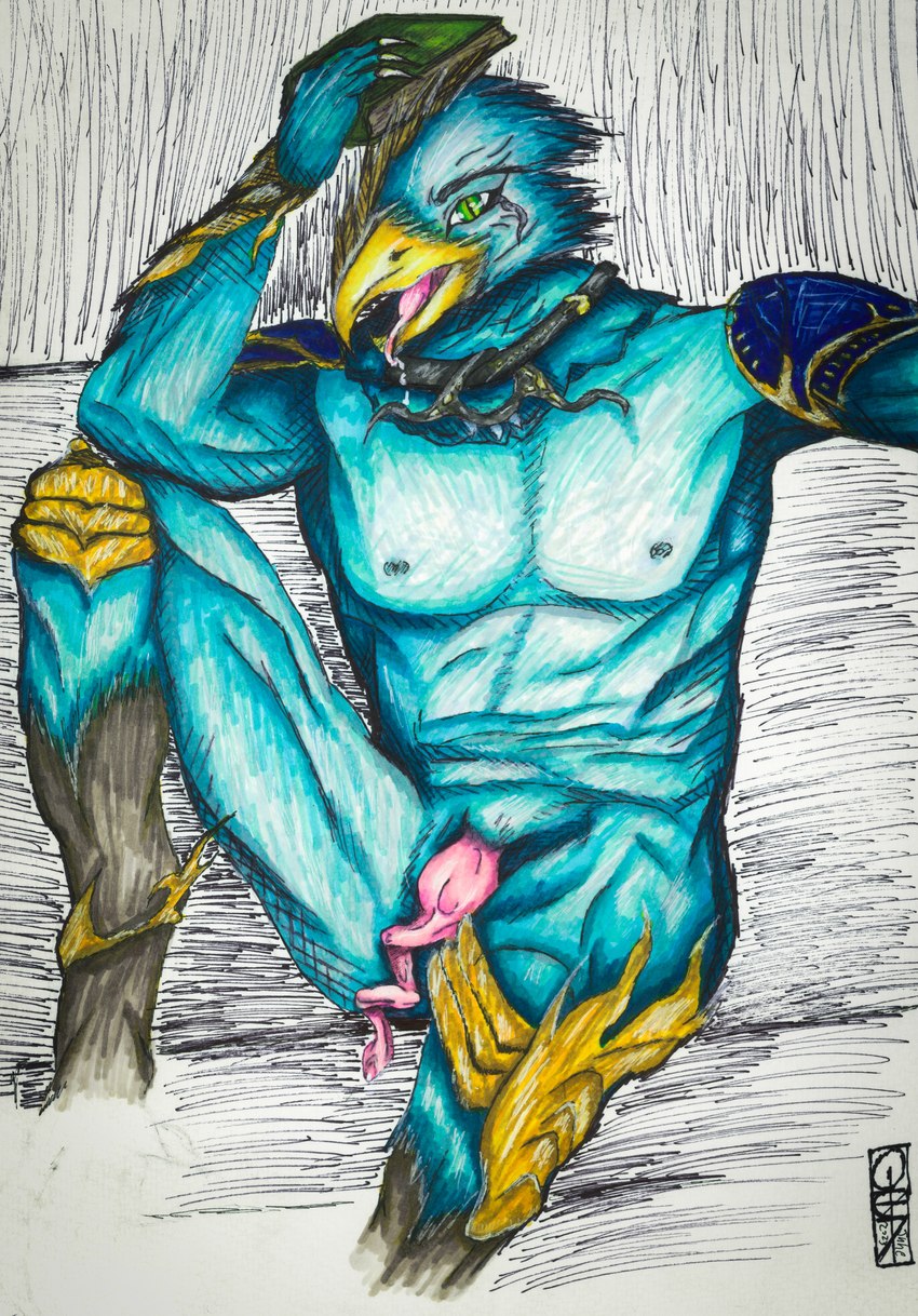 anatomically_correct anatomically_correct_genitalia anatomically_correct_penis anklet anthro anthrofied armor beak blue_body blue_feathers bodily_fluids book bracers feathers genitals green_eyes jewelry knee_pads male muscular muscular_male necklace nipples open_mouth penis saliva shoulder_pads solo spiral_penis tongue tongue_out unconvincing_armor yellow_beak quizaro warhammer_(franchise) warhammer_40000 tzeentch avian bird chaos_daemon daemon_of_tzeentch human lord_of_change mammal absurd_res hi_res traditional_media_(artwork)