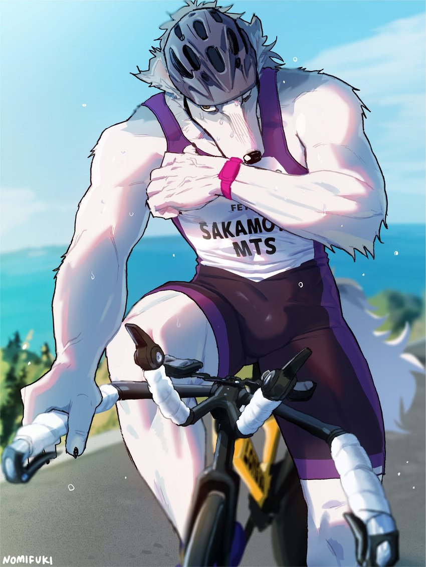 anthro armor athletic athletic_anthro athletic_male bicycle bicycle_helmet bodily_fluids bulge clothed clothed_anthro clothed_male clothing day fur headgear helmet male outside solo sweat tight_clothing vehicle white_body white_fur nomifuki long_boi_(nomifuki) borzoi canid canine canis domestic_dog hunting_dog mammal sighthound 2024 3:4 hi_res