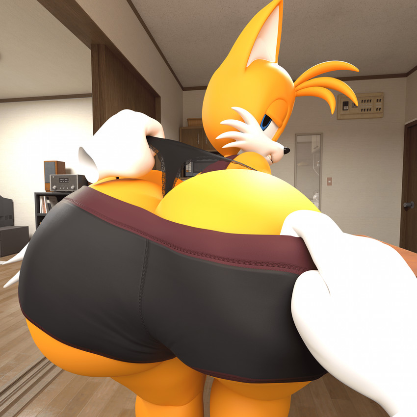 angry anthro arched_back athletic_wear big_butt big_ears black_nose bottomwear bottomwear_pull bubble_butt butt butt_focus butt_pose clenched_teeth clothing clothing_pull curvy_figure disembodied_hand femboy gym_bottomwear gym_shorts huge_butt inside looking_at_viewer looking_back looking_back_at_viewer male pose shorts shorts_pull solo teeth thick_thighs thong thong_pull tight_bottomwear tight_clothing tight_shorts underwear underwear_pull undressing wide_hips adri164 sega sonic_the_hedgehog_(series) miles_prower canid canine fox mammal red_fox true_fox 1:1 3d_(artwork) digital_media_(artwork) hi_res