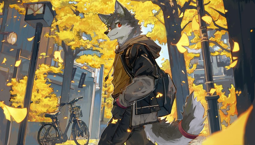 accessory anthro autumn backpack bicycle black_nose bottomwear brown_clothing brown_hoodie brown_topwear clothed clothing day falling_leaves fully_clothed fur furgonomics grey_body grey_fur hand_in_pocket head_tuft hoodie inner_ear_fluff jacket kemono male outside pants plant pockets red_eyes shirt smile snout solo street_lamp tail tail_accessory tailband topwear tree tuft vehicle white_body white_fur polp000 canid canine canis mammal wolf hi_res shaded