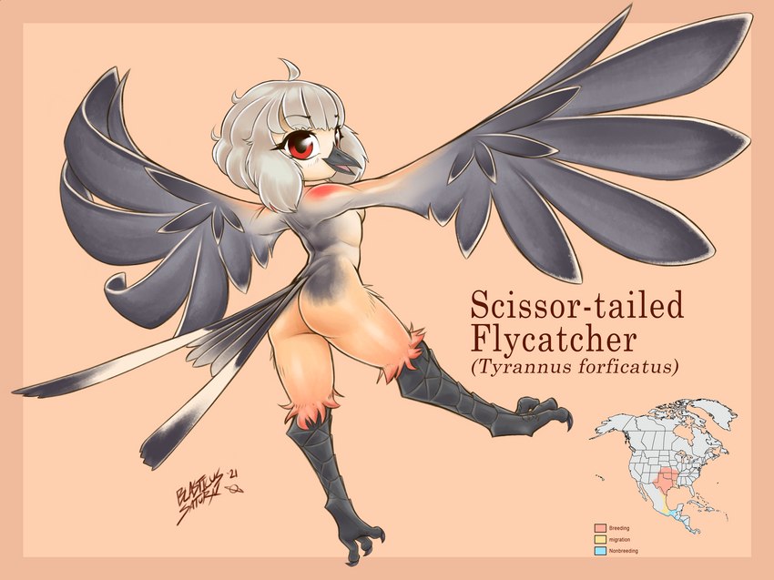 3_toes anthro avian_feet beak black_claws breasts butt butt_pose claws extended_leg feathered_wings feathers feet female hair looking_at_viewer looking_back looking_back_at_viewer map non-mammal_breasts nude open_beak open_mouth pose raised_foot rear_view red_eyes scales scutes short_hair side_boob simple_background smile solo spread_arms spread_wings spreading straight_leg tail tail_feathers talons text toe_claws toes white_hair winged_arms wings blasticussaturn avian bird kingbird new_world_suboscine passerine scissor-tailed_flycatcher suboscine tyrant_flycatcher 2021 absurd_res dated digital_media_(artwork) english_text full-length_portrait hi_res portrait signature