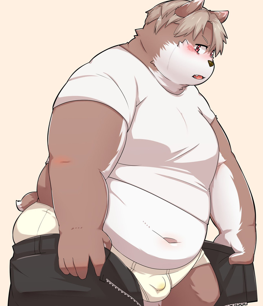 anthro balls_outline belly blush bottomwear brown_body brown_fur bulge clothing detailed_bulge fur genital_outline humanoid_hands kemono male navel overweight overweight_anthro overweight_male pants penis_outline shirt solo topwear underwear hanji1st canid canine canis domestic_dog mammal 2021 hi_res