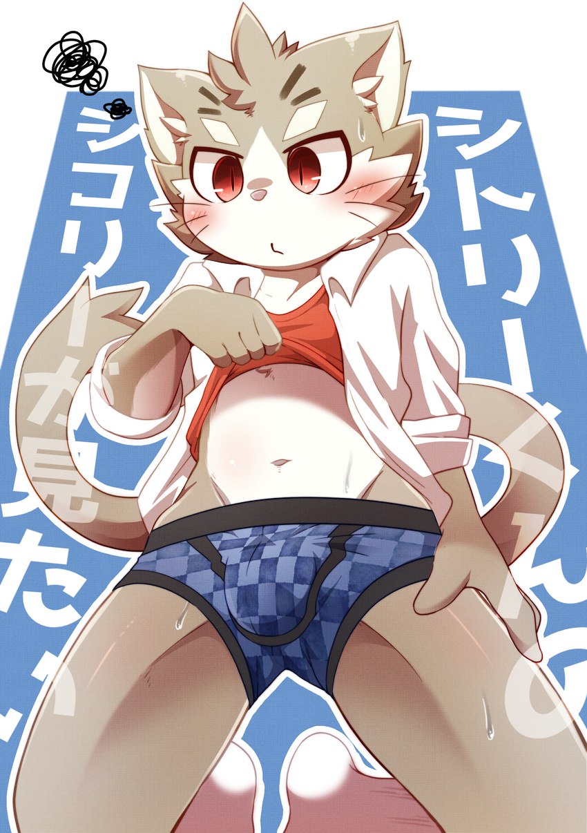 anthro black_seam_underwear blue_briefs blue_clothing blue_underwear blush bodily_fluids boxer_briefs briefs bulge clothed clothing clothing_lift colored_seam_underwear kemono male navel pattern_briefs shirt shirt_lift solo topwear underwear tsukane_yoda lifewonders tokyo_afterschool_summoners sitri_(tas) domestic_cat felid feline felis mammal absurd_res hi_res