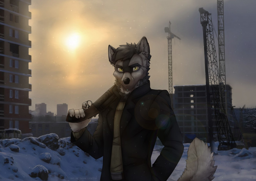 anthro black_body black_fur clothed clothing detailed_background fluffy fluffy_tail fur grey_body grey_fur grey_hair gun hair holding_object holding_weapon male multicolored_body multicolored_fur necktie post-apocalyptic ranged_weapon shotgun solo tail two_tone_body two_tone_fur weapon yellow_eyes tashalisets canid canine canis mammal wolf