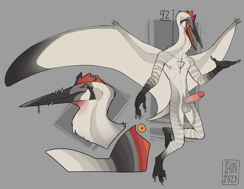 anthro athletic athletic_anthro athletic_male balls facial_piercing feathers genital_piercing genitals humanoid_genitalia humanoid_penis male open_mouth orange_eyes penis penis_piercing piercing solo white_body white_feathers wings cryptid_jhin azhdarchid prehistoric_species pterosaur quetzalcoatlus reptile scalie hi_res