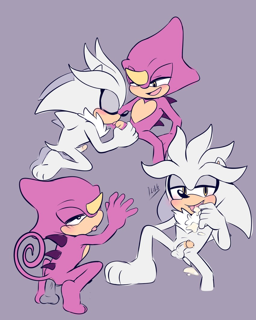 espio the chameleon and silver the hedgehog (sonic the hedgehog (series) and etc) created by lou lubally