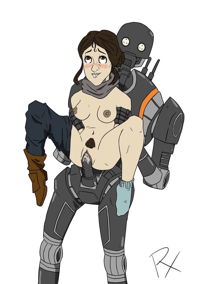 breasts duo female from_behind_position machine male male/female nipples pubes sex simple_background vaginal white_background rogue_one star_wars jyn_erso k-2so human mammal robot absurd_res hi_res