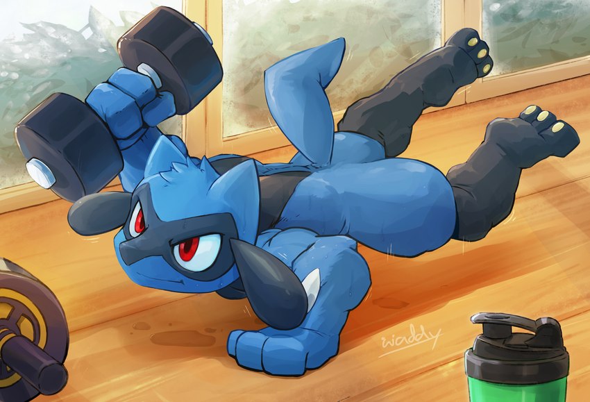 biceps bodily_fluids container cup dumbbell exercise hair inside male muscular muscular_male pawpads red_eyes smile smirk solo sweat tail weights workout waddledox nintendo pokemon generation_4_pokemon pokemon_(species) riolu absurd_res hi_res