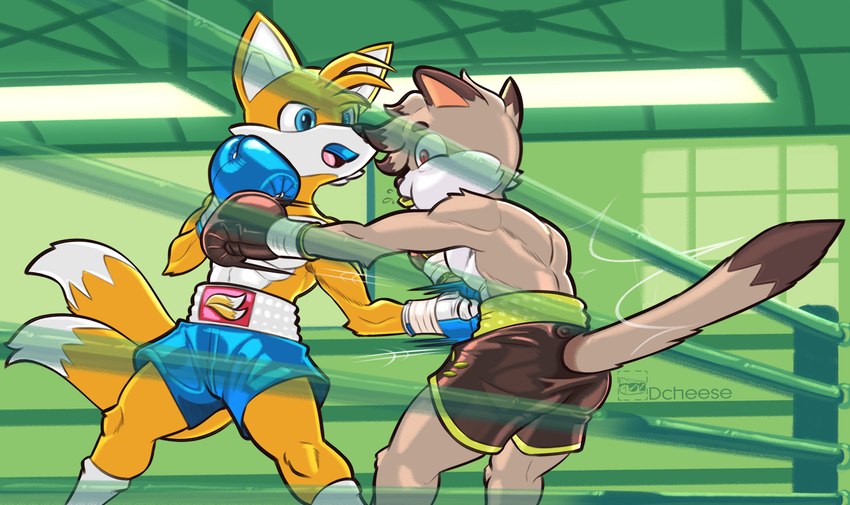 2_tails anthro bangs blue_eyes bodily_fluids boxing boxing_gloves boxing_shorts boxing_trunks brown_body brown_fur butt clothing detailed_background dipstick_ears dipstick_tail duo ear_markings fight fighting_ring footwear fur furgonomics gutpunch handwear male markings mouthguard multi_tail multicolored_ears punch red_eyes saliva socks sport tail tail_markings white_body white_fur yellow_body yellow_fur dcheese sega sonic_the_hedgehog_(series) miles_prower canid canine domestic_cat felid feline felis fox mammal 2022 digital_media_(artwork) hi_res watermark