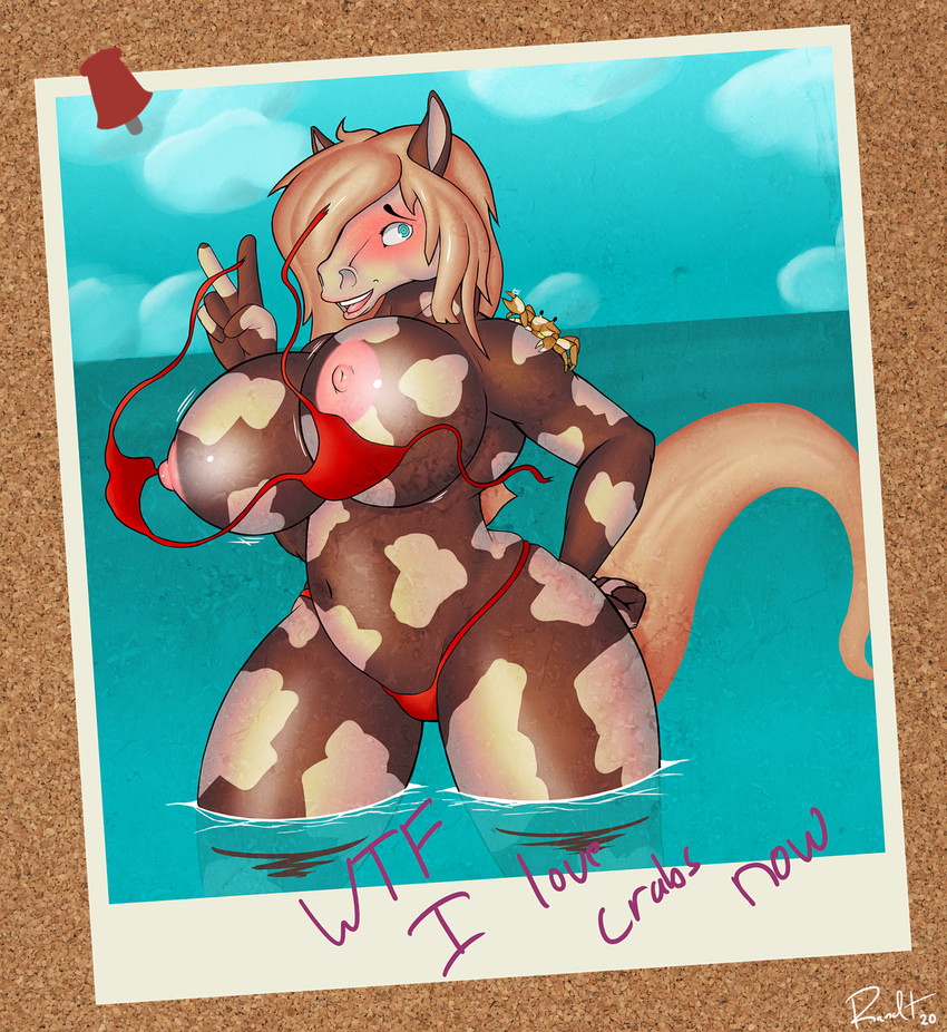 anthro big_breasts bikini bikini_crabs blonde_hair blue_eyes blush breasts brown_body brown_fur clothing clothing_theft crab_stealing_clothing dappled duo female feral fur hair huge_breasts looking_at_viewer nipples open_mouth red_bikini red_clothing red_swimwear sea simple_background smile solo_focus stealing swimwear swimwear_theft text torn_clothing triangle_bikini two-piece_swimsuit undressing_crabs wardrobe_malfunction water white_body white_fur battleorca eleanor_(randt) ambient_sealife arthropod crab crustacean decapoda equid equine horse malacostracan mammal marine hi_res