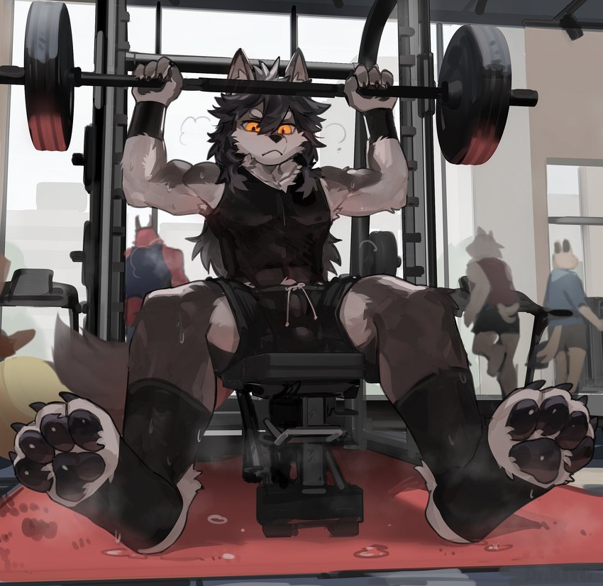 anthro athletic_wear biped black_pawpads bodily_fluids bottomwear claws clothed clothing countershade_arms countershade_face countershade_fur countershading eyebrows fur group gym gym_bottomwear gym_shorts inner_ear_fluff kemono male pawpads paws shorts solo_focus sweat tail tuft weights dr.kiyo tigerpaws_cyno canid canine mammal absurd_res hi_res