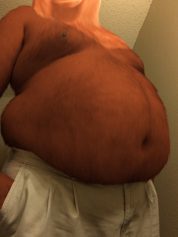 anthro anthrofied belly belly_focus big_belly love_handles male moobs nipples overweight overweight_anthro overweight_male solo torso_shot oystercatcher7 third-party_edit open_season boog_(open_season) bear mammal 3:4 digital_media_(artwork) hi_res photo_manipulation photomorph