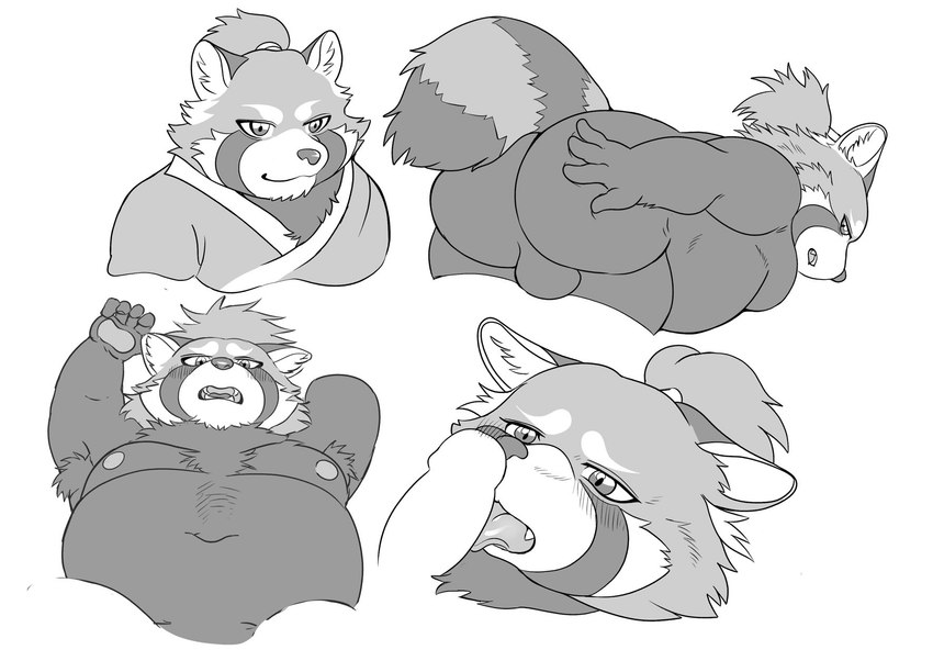 anthro armpit_hair backsack balls belly big_belly body_hair butt genitals kemono licking male moobs navel nipples oral overweight overweight_male penile penis penis_lick sex solo tongue tongue_out hysk canid canine mammal raccoon_dog tanuki 2023 hi_res monochrome