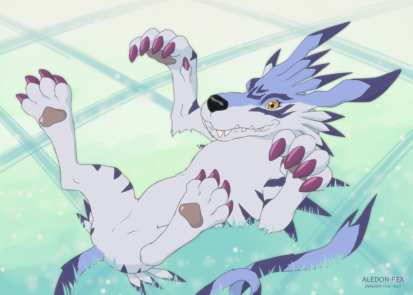 4_toes ambiguous_gender black_nose blue_body blue_fur blue_markings curled_tail dewclaw feathers feet feral fur grey_pawpads head_markings looking_at_viewer lying markings pawpads sharp_teeth smile solo tail teeth toes aledonrex bandai_namco digimon digimon_(species) garurumon 2017 signature