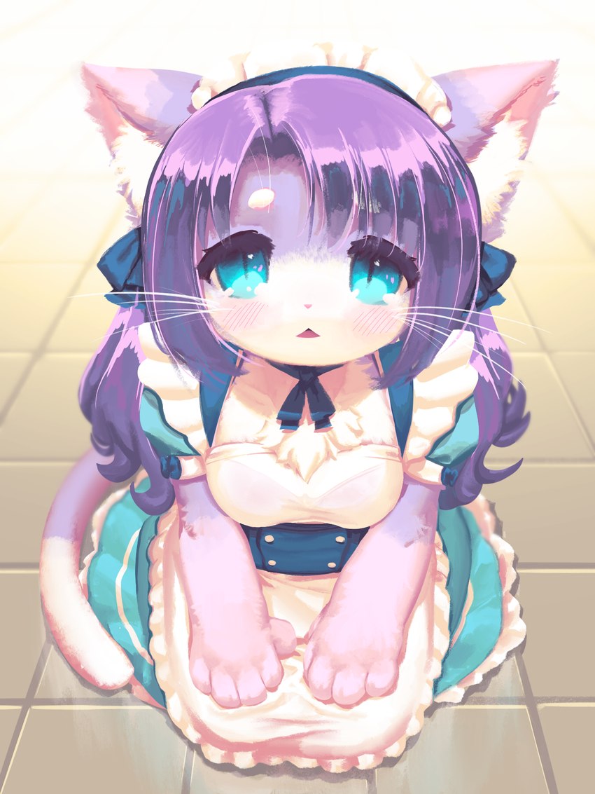 anthro blue_eyes clothing female floor fur hair kneeling looking_at_viewer looking_up maid_uniform purple_body purple_fur purple_hair solo tile tile_floor uniform whiskers pooding plum_(pooding) domestic_cat felid feline felis mammal 2022 hi_res