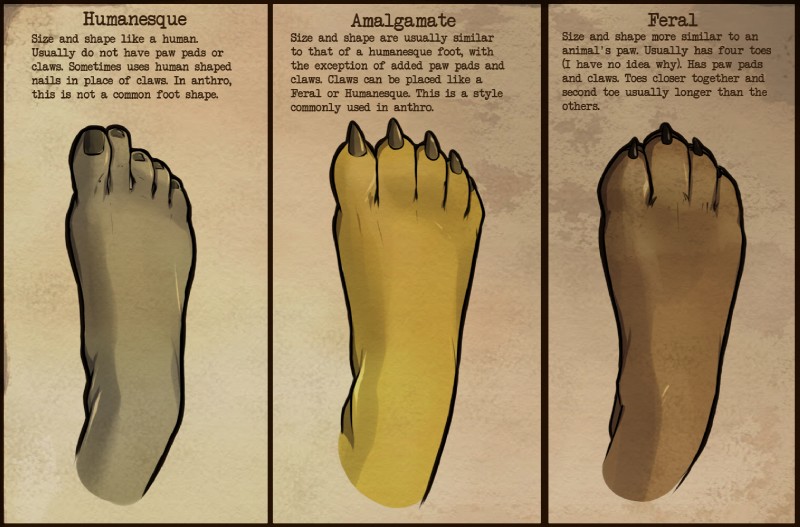 4_toes 5_toes ambiguous_gender chart claws comparison feet foot_focus foot_shot group lore tagging_guidelines_illustrated text toe_claws toes coffinberry human mammal unknown_species digital_media_(artwork) english_text model_sheet