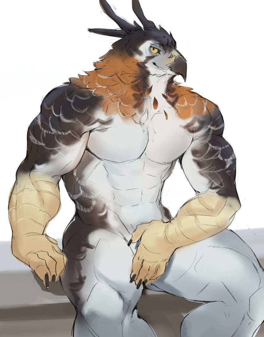 abs anthro beak biceps claws covering covering_crotch deltoids feathers looking_at_viewer male multicolored_body muscular orange_body orange_feathers pecs simple_background sitting solo triceps two_tone_body white_background yellow_sclera o_reowoof reolixious accipitrid accipitriform aquilinae avian bird eagle ornate_hawk-eagle 2023 hi_res