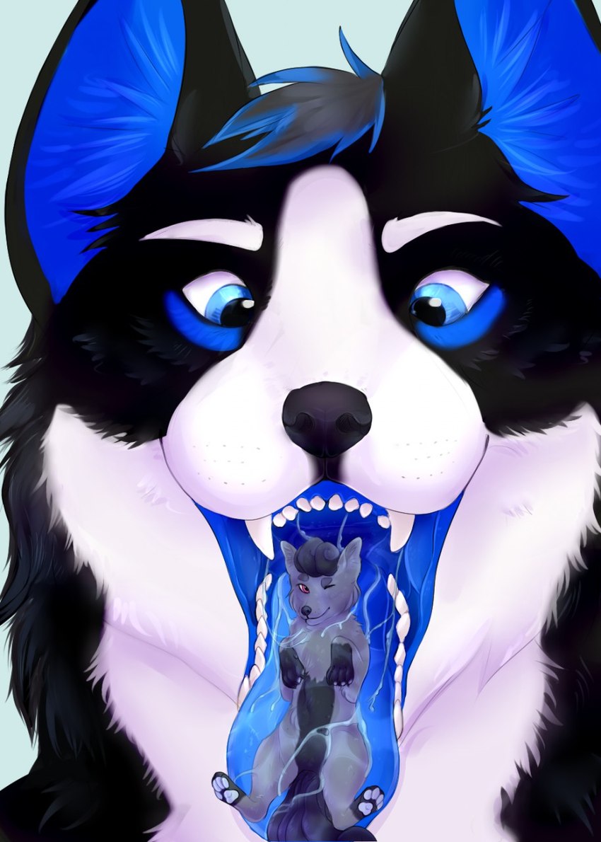 ambiguous_gender anthro black_body black_ears black_fur black_nose blue_eyes blue_hair blue_inner_ear blue_inner_ear_fluff blue_tongue bodily_fluids cheek_tuft closed_smile duo eyebrows facial_tuft fangs front_view fur glistening glistening_eyes grey_body grey_fur grey_hair hair imminent_oral_vore imminent_vore in_mouth inner_ear_fluff lying mouth_closed mouth_shot multicolored_hair neck_tuft on_back one_eye_closed open_mouth pink_eyes saliva saliva_on_tongue short_hair simple_background smile teeth tongue tuft two_tone_hair white_body white_eyebrows white_fur roobin canid mammal hi_res