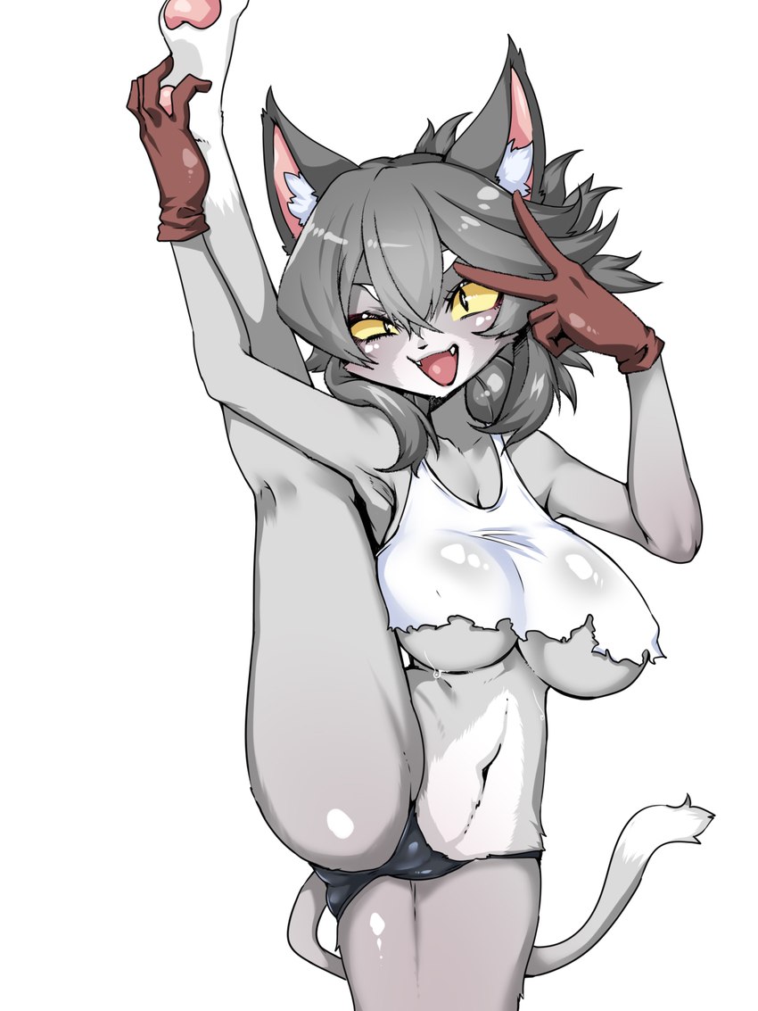 anthro big_breasts biped breasts camel_toe clothing collarbone cute_fangs female gesture gloves grey_body grey_hair hair hand_gesture handwear holding_leg inner_ear_fluff kemono multicolored_body navel one_leg_up open_mouth panties pupils raised_leg simple_background slit_pupils tail topwear torn_clothing torn_tank_top torn_topwear tuft two_tone_body two_tone_face two_tone_tail under_boob underwear v_sign white_background white_body yellow_sclera kamen_no_hito kumamine safety_cat genba_neko domestic_cat felid feline felis mammal 3:4 hi_res