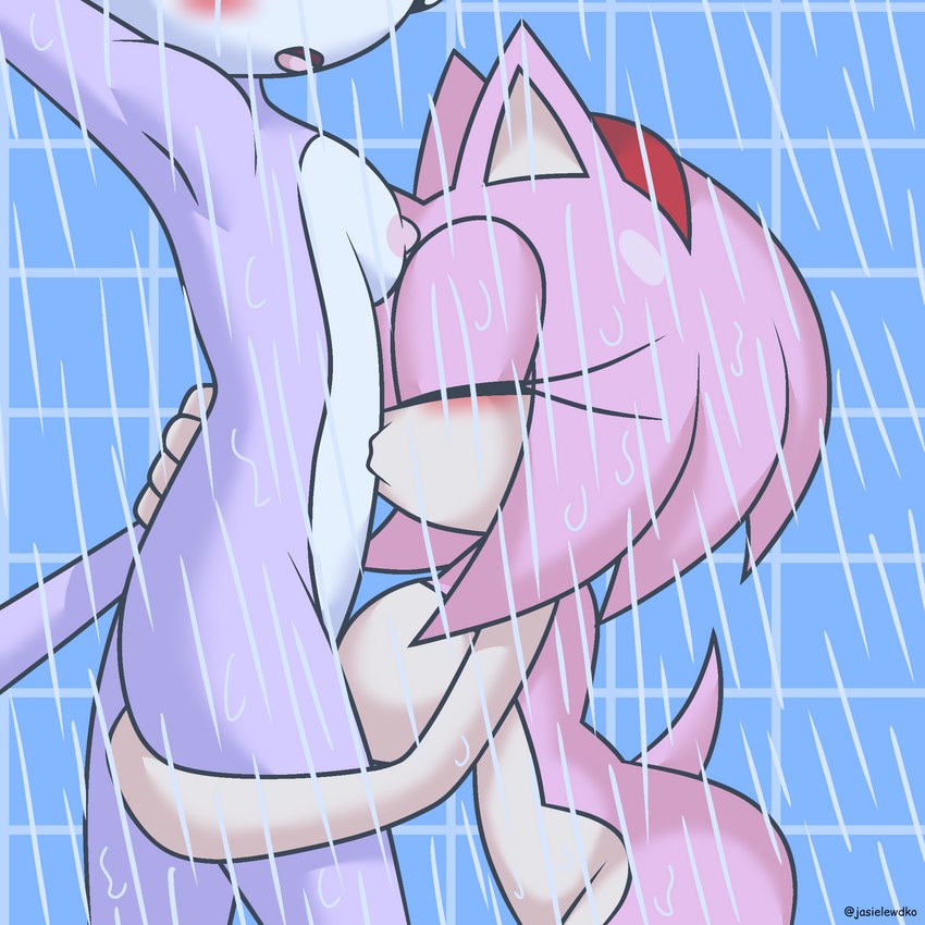 anthro belly_kiss blush breasts butt duo eyes_closed female female/female hair kissing kissing_belly nipples nude open_mouth pink_body purple_body shower water jasienorko sega sonic_the_hedgehog_(series) amy_rose blaze_the_cat domestic_cat eulipotyphlan felid feline felis hedgehog mammal 1:1 hi_res