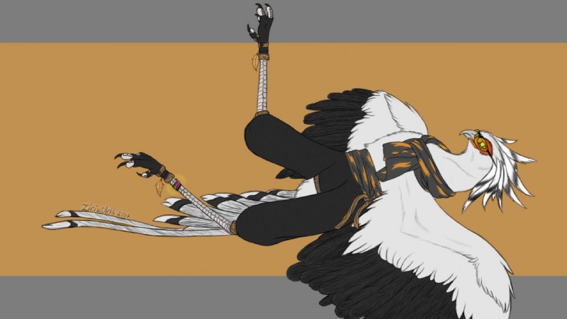 4_toes anisodactyl avian_feet clothing digitigrade feathers feet feral male scuted_feet scuted_legs scutes solo talons toes zirius accipitriform avian bird secretary_bird 16:9 widescreen