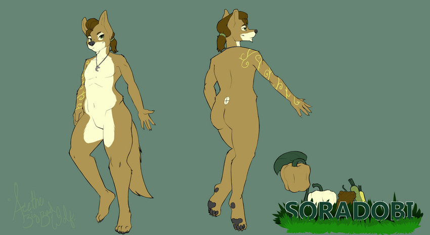 4_toes anthro butt feet green_eyes jewelry male necklace solo tattoo toes acethebigbadwolf dobi canid canine canis mammal wolf 2021 absurd_res hi_res model_sheet