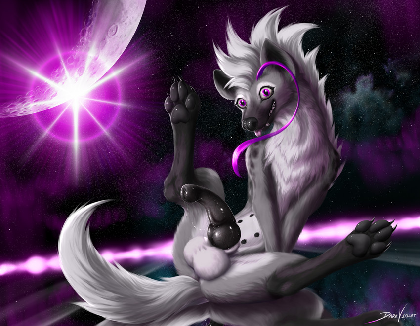 6_nipples animal_genitalia balls blep claws cosmic_background digitigrade feral fur genitals grey_body grey_fur gynomorph half-erect intersex knot looking_at_viewer moon multi_nipple nipples pawpads penis pink_eyes presenting pseudo-penis pseudo-scrotum quadruped smile solo spread_legs spreading starry_background tongue tongue_out white_body white_fur dark_violet dark_violet_(character) hyena mammal spotted_hyena 2020 hi_res female_(lore)