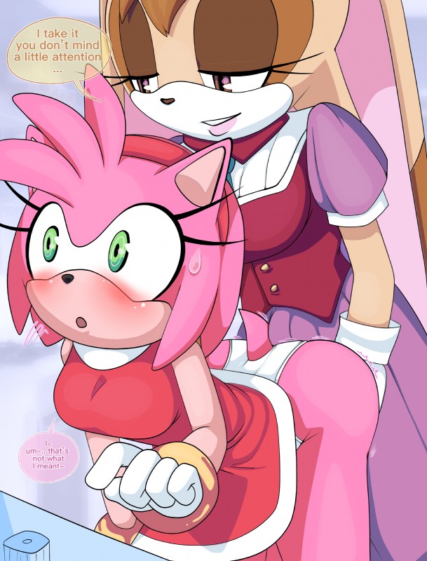 amy rose and vanilla the rabbit (sonic the hedgehog (series) and etc) created by saltorii
