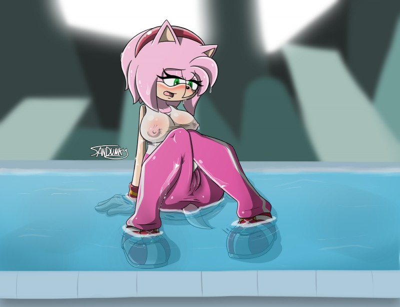 anthro areola big_breasts breasts camel_toe clothing erect_nipples female nipples solo water wet wet_clothing sandunky sega sonic_the_hedgehog_(series) amy_rose eulipotyphlan hedgehog mammal hi_res