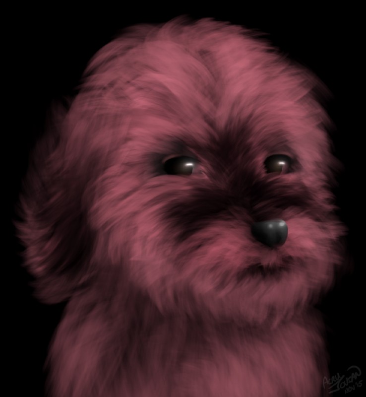 ambiguous_gender black_background feral floppy_ears fluffy fur simple_background solo acru_jovian canid canine canis domestic_dog mammal shih_tzu toy_dog 2015 bust_portrait digital_media_(artwork) portrait