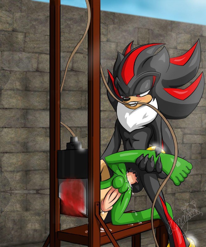 manic the hedgehog and shadow the hedgehog (sonic the hedgehog (series) and etc) created by dcmik3 and icandy