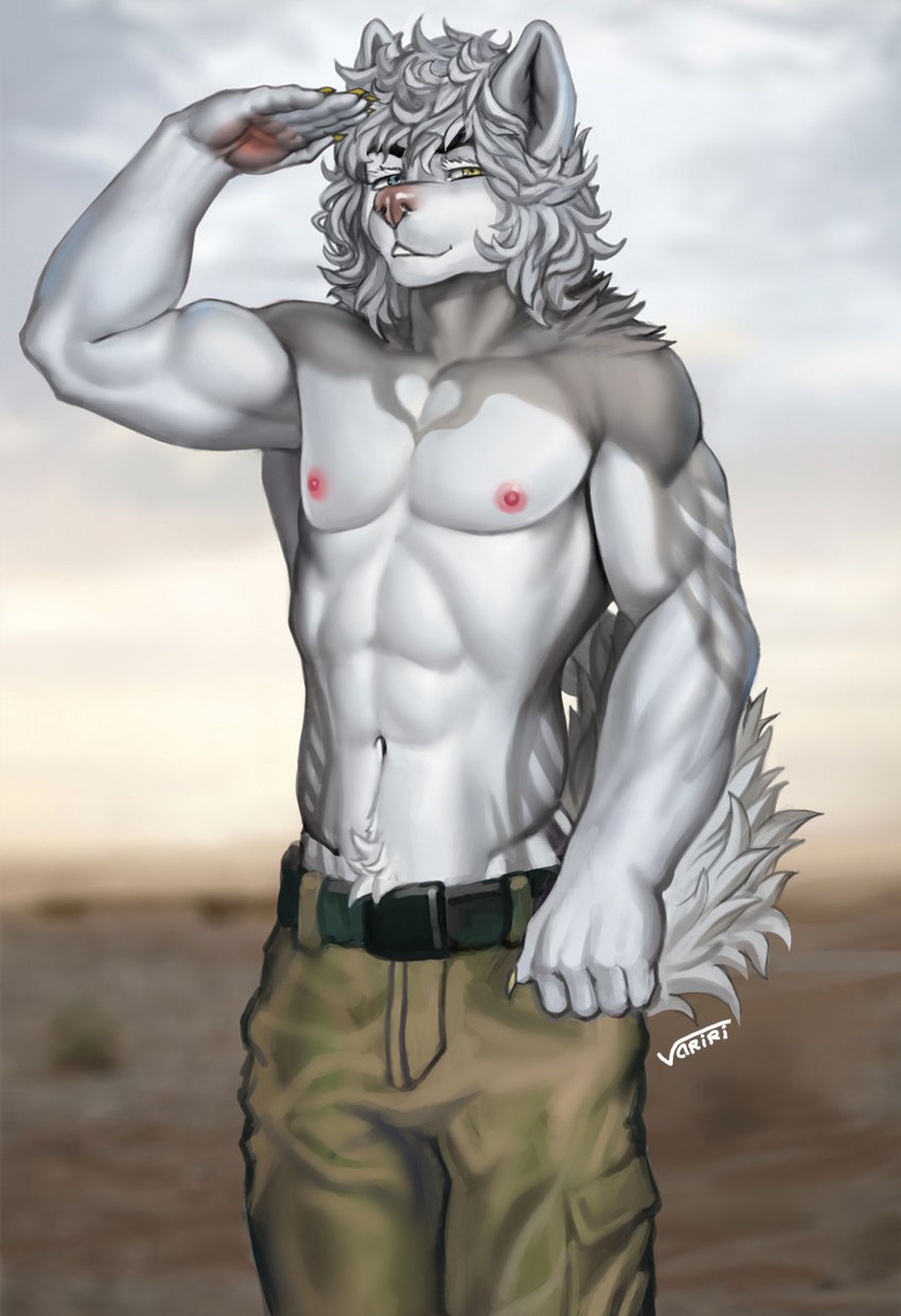 5_fingers abs anthro clothed clothing day detailed_background eyebrows eyelashes fingers gesture grey_hair hair heterochromia male muscular muscular_male navel nipples outside salute sky smile solo topless variri canid canine canis domestic_dog mammal 2022 digital_media_(artwork) hi_res